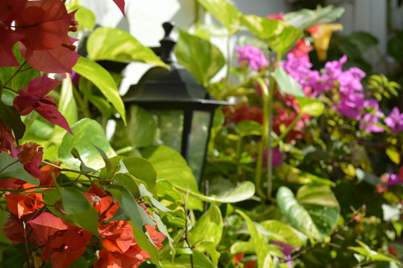 Casa Mary Hotel Cartagena Kültér fotó